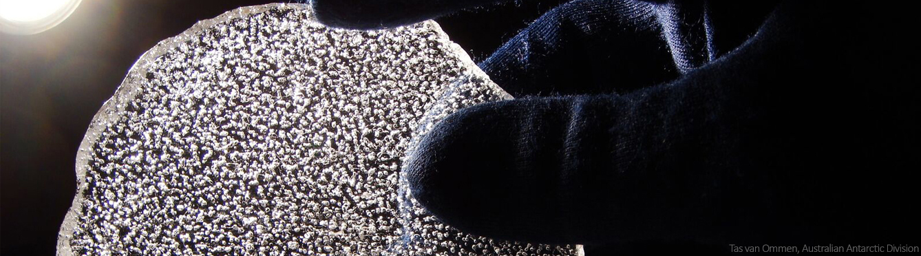 Ancient air bubbles trapped in a slice of Antarctic ice core reveal information about the Earth’s pre-industrial climate. Reproduced courtesy of Tas van Ommen, Australian Antarctic Division.