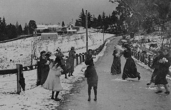 1905 snow mt Lofty